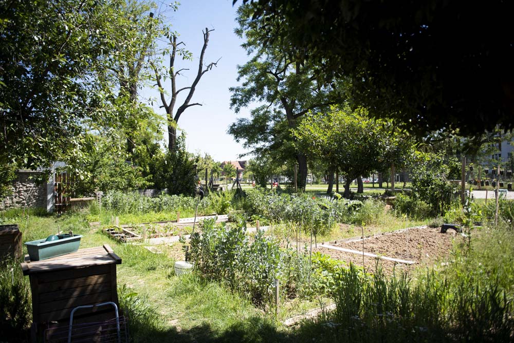 Des jardins partagés, pour une ville plus durable